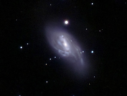 Galaxie M65 du triplet du Lion