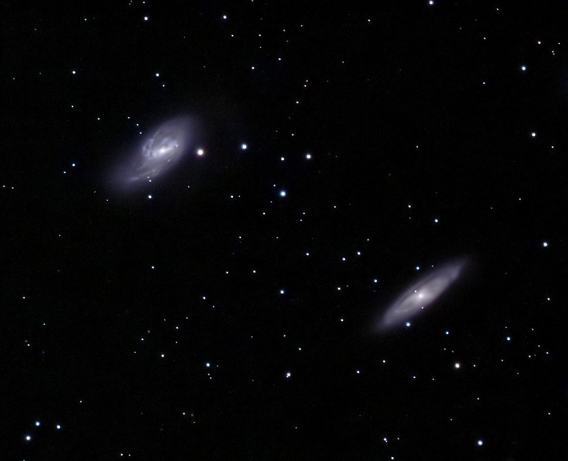 Les galaxies M65 et M66 de la constellation du Lion appelé également le trio du Lion