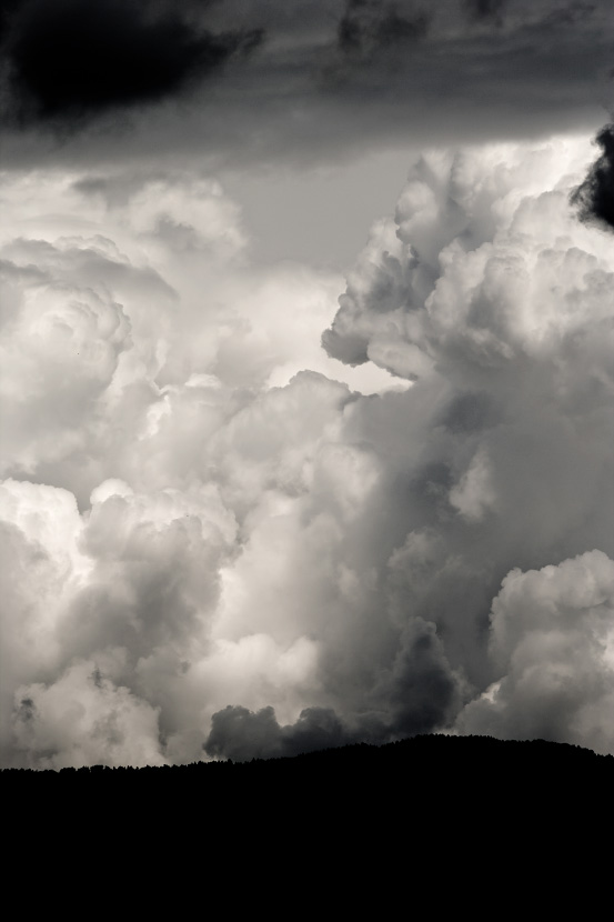 Photo de cumulonimbus formés au dessus des sapins