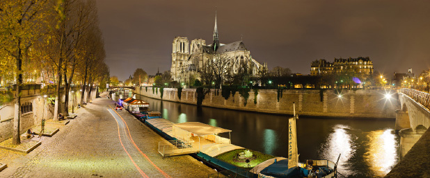 Notre-Dame de Paris depuis le pont de l'Archevéché de nuit