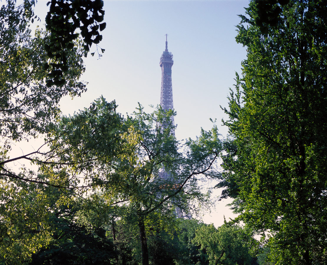 La tour Eiffel derrière les arbres des jardins du Trocadéro