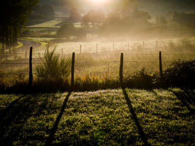 Contre-jour au lever du soleil dans la campagne