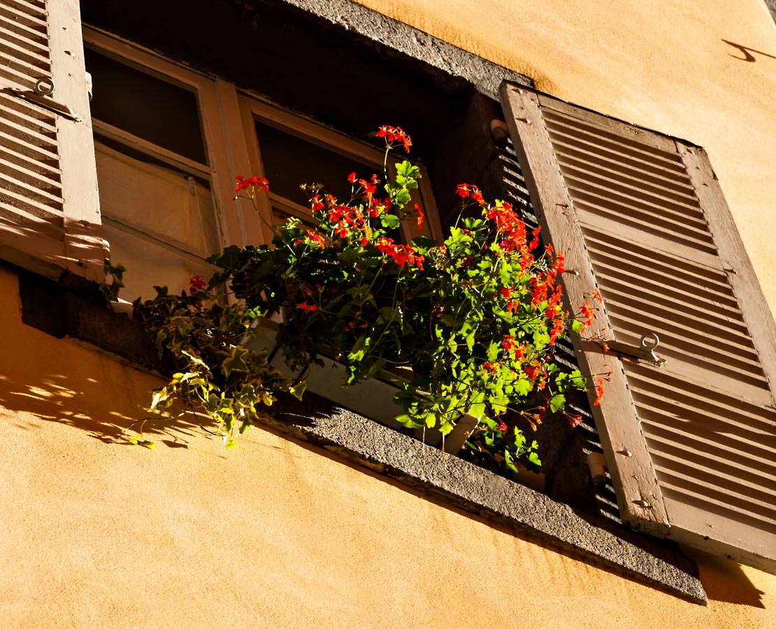 Géranium à une fenêtre du centre historique de Clermont-Ferrand