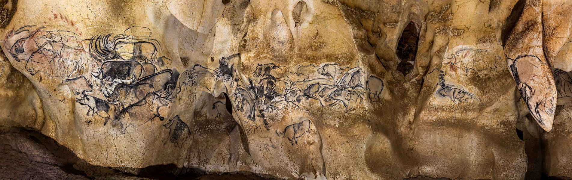 Le grand panneau des Lions de la grotte Chauvet