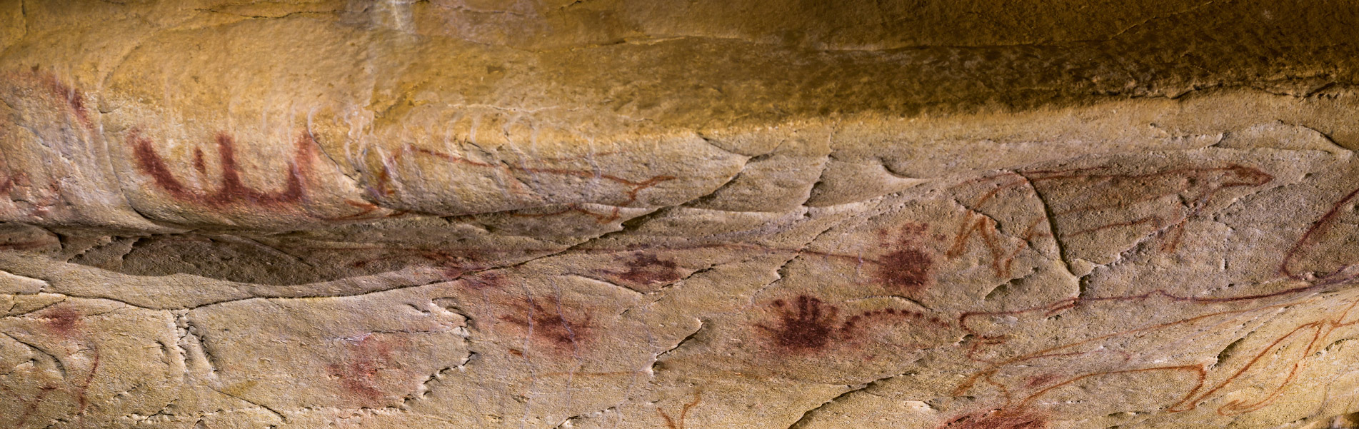 Panneau des poings paumes de la grotte Chauvet